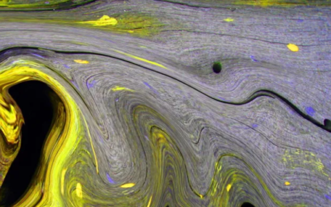 He1f83631bda740069066e50a5faf4f69w