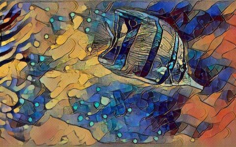 后疫情下网创er如何应对“躺平”和“内卷”？高羽自嗨篇