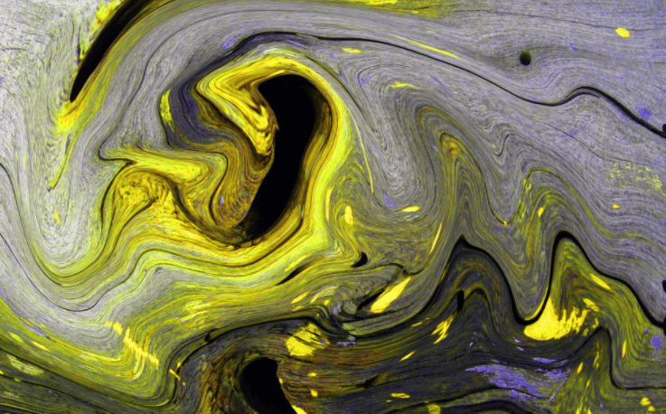 网创项目资源网：借用未来给你的个人网络创业事业增加势能