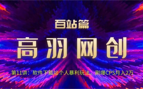 高羽网创百站篇第11讲：软件下载站个人暴li玩法，刷爆CPS月入2万