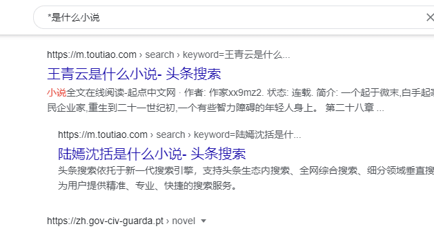 网创项目资源网百站篇第18讲：小说漫画站二合一，长尾布局引爆流量