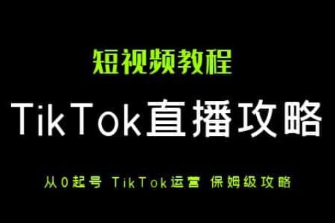 如何做TikTok直播？3个月从0到日均1w刀（附保姆级新手攻略）