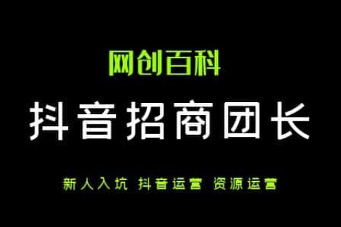 抖音招商团长怎么玩