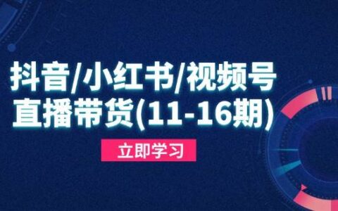 （14611期）抖音/小红书/视频号/直播带货(11-16期)，快速掌握平台规则，打造爆款内容
