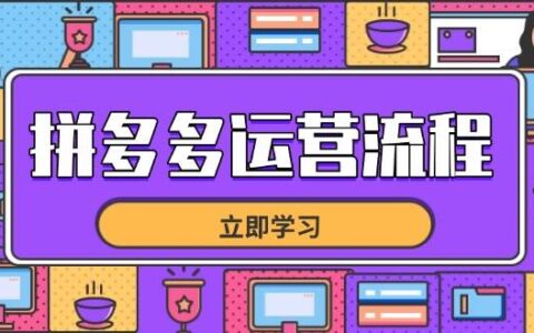 （14503期）拼多多运营流程，从选品到流量，全链路运营技巧，助力店铺爆单