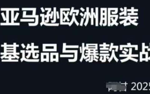 跨境电商选品案例24-25年，聚焦跨境电商选品策略与运营优化，助力卖家挖掘蓝海市场