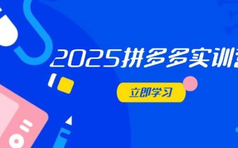（14531期）2025拼多多实训营：深度剖析运营关键，助力电商人快速提升