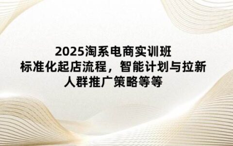 （14522期）2025淘系电商实训班：标准化起店流程，智能计划与拉新，人群推广策略等等