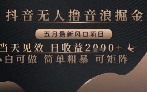 抖音无人撸音浪掘金，五月最新风口项目，当天见效，日收益多张，小白可做简单粗暴可矩阵【揭秘】