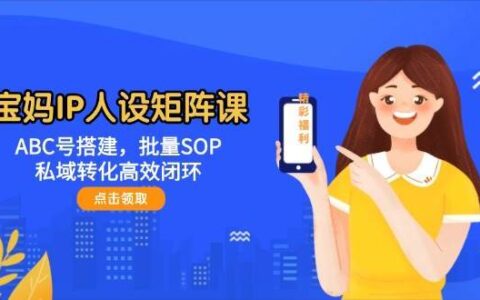 宝妈IP人设矩阵课：ABC号搭建，批量SOP，私域转化高效闭环