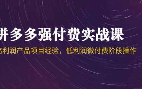 （14874期）拼多多强付费实战课-44期，高利润产品项目经验，低利润微付费阶段操作