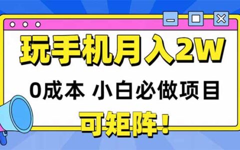 （14879期）玩玩手机月入20000+，0成本小白必做项目，可矩阵