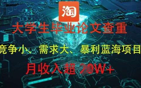 大学生毕业论文查重，暴莉蓝海项目，月收入过1W+
