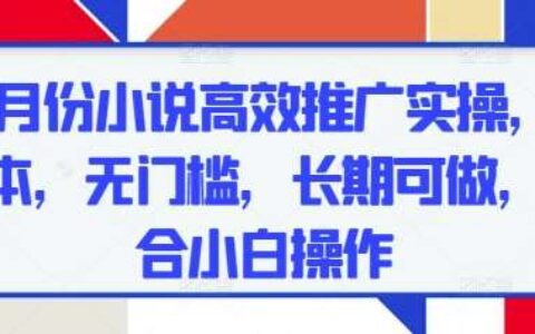 五月份小说高效推广实操，0成本，无门槛，长期可做，适合小白操作