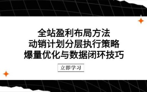 （14698期）全站盈利布局方法：动销计划分层执行策略，爆量优化与数据闭环技巧