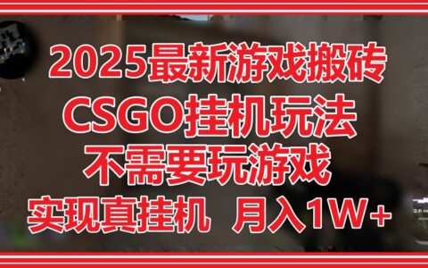 2025最新游戏搬砖，CSGO挂G，不需要玩游戏，实现真挂G，月入1W+