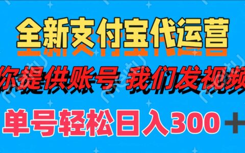 单号轻松日入300+ 全新支付宝代运营你提供账号 我们发视频