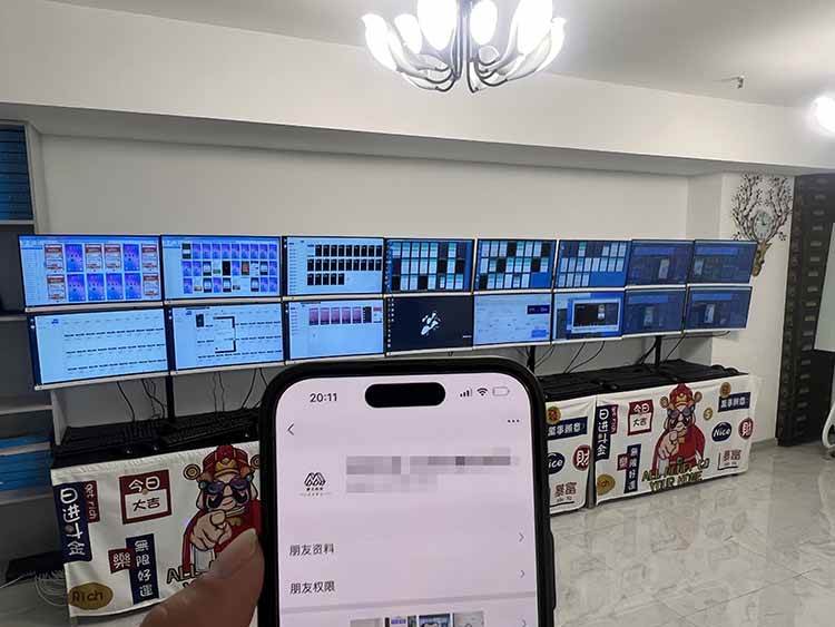 （14767期）2025年实操六大项目实操演练，挂G类型，AI直播类型，轻资产创业类型，...