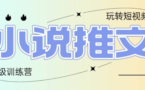 （14645期）2025小说推文训练营，只需复制，粘贴，小白轻松日入100+