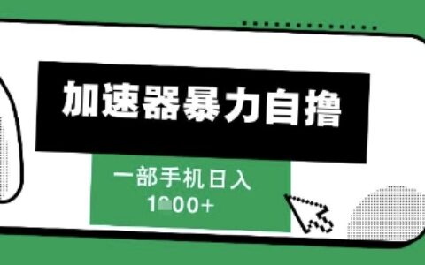 205新风口，加速器爆栗自撸，单机日入1k+【揭秘】