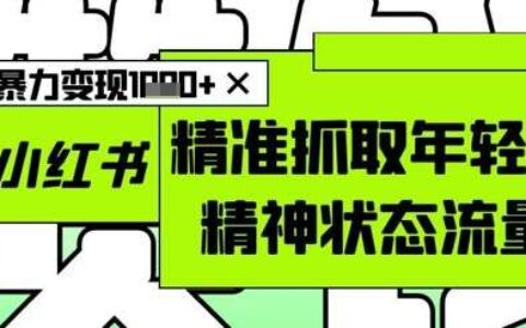 AI+小红书图文，精准抓取年轻人精神状态流量，单日爆栗变现多张