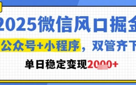 2025微信风口掘金，公众号+小程序双管齐下，单日稳定变现1k+【揭秘】