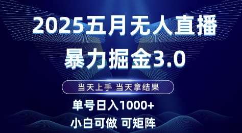 2025五月无人直播爆栗掘金3.0，当天上手，当天拿结果，单号日入1k+小白可做可矩阵【揭秘】