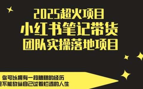2025超火项目，副业最佳选择，小红书笔记带货团队实操落地项目，，轻松日入5张