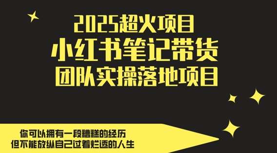 2025超火项目，副业最佳选择，小红书笔记带货团队实操落地项目，，轻松日入5张