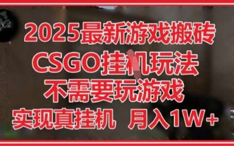 2025最新游戏搬砖，CSGO挂G，不需要玩游戏，实现真挂G，月入1W+【揭秘】