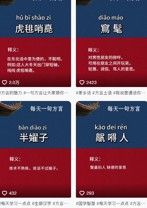 抖音最新涨粉玩法，图文方言爆栗涨粉实操，126作品涨粉11W