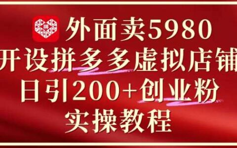 外面卖5980开设拼多多虚拟店铺：单日引流200+创业付费粉实战教程