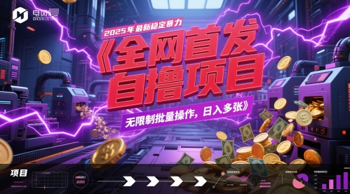 2025独家揭秘全自动自撸项目，稳定高效可批量操作日入上千R