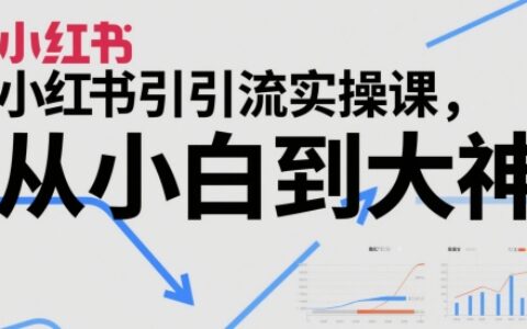 小红书精准引流课程：零基础到实战高手全攻略