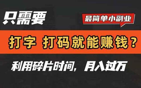 （14673期）只需要打字，打码，就能赚钱？简单的赚钱小副业，利用碎片时间，月入过万