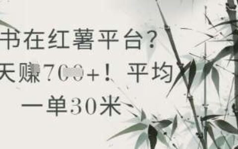 抄书在小红薯平台？平均一单30米，一天收益几张！