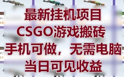 最新挂G项目，CSGO游戏搬砖，手机可做，无需电脑，当日见收益【揭秘】