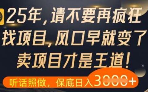 什么？25年你还在疯狂找项目做，醒醒吧，看完这些你全都懂了【揭秘】