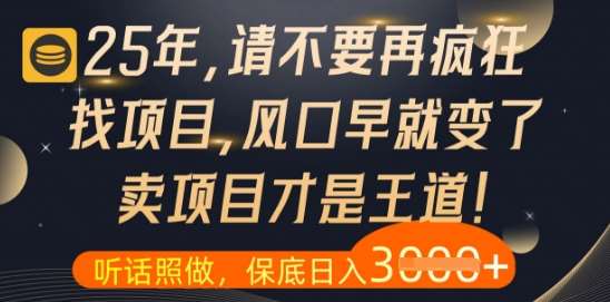 什么？25年你还在疯狂找项目做，醒醒吧，看完这些你全都懂了【揭秘】