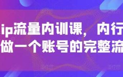 个人ip流量内训课，内行人教你做一个账号的完整流程