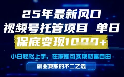25年最新风口，视频号托管项目，单日保底变现1k+，手把手教学