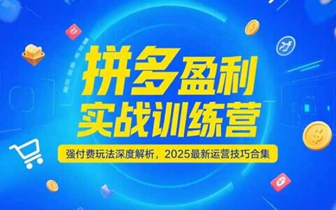 拼多多盈利实战训练营，强付费玩法深度解析，2025运营技巧合集-更新6月