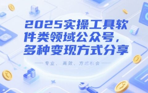 2025实操工具软件类领域公众号，多种变现方式分享