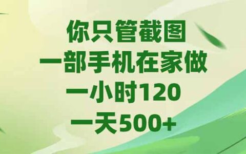 你只管截图，一部手机在家做，一小时120，一天500+
