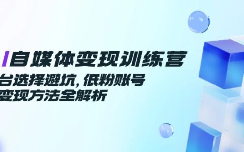 AI自媒体变现训练营，平台选择避坑，低粉账号高变现方法全解析