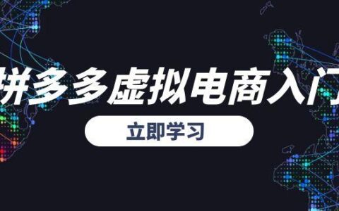 拼多多虚拟电商入门，精准选品方法论，无货源模式起盘技巧