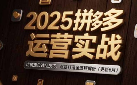 2025拼多多运营实战：店铺定位选品技巧，爆款打造全流程解析（更新6月）