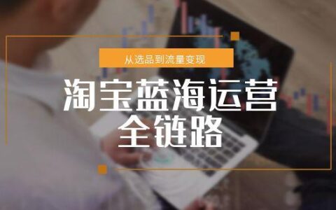 淘宝蓝海运营全链路，从选品到流量变现，小类目突围完整方案