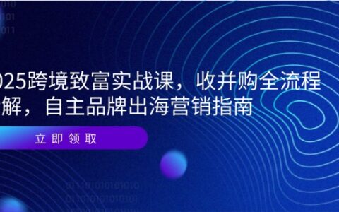 2025跨境致富实战课，收并购全流程拆解，自主品牌出海营销指南