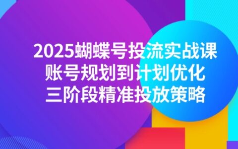 2025蝴蝶号投流实战课，账号规划到计划优化，三阶段精准投放策略
